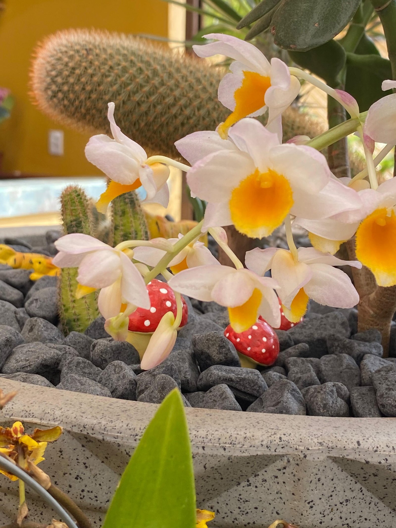 Floricultura: Encantada Flowers